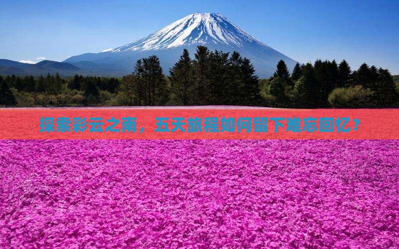 探索彩云之南，五天旅程如何留下难忘回忆？