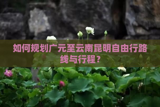 如何规划广元至云南昆明自由行路线与行程？