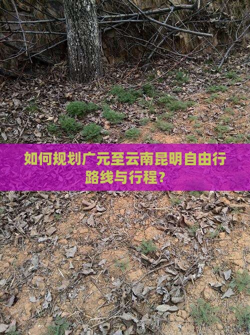 如何规划广元至云南昆明自由行路线与行程？