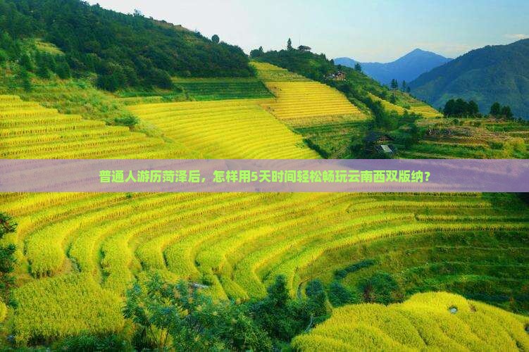 普通人游历菏泽后，怎样用5天时间轻松畅玩云南西双版纳？