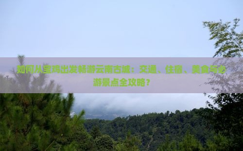 如何从宝鸡出发畅游云南古城：交通、住宿、美食与必游景点全攻略？