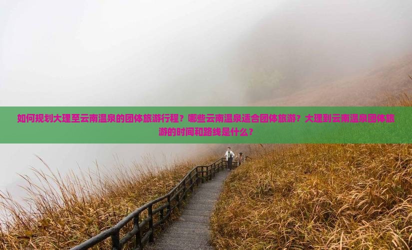 如何规划大理至云南温泉的团体旅游行程？哪些云南温泉适合团体旅游？大理到云南温泉团体旅游的时间和路线是什么？