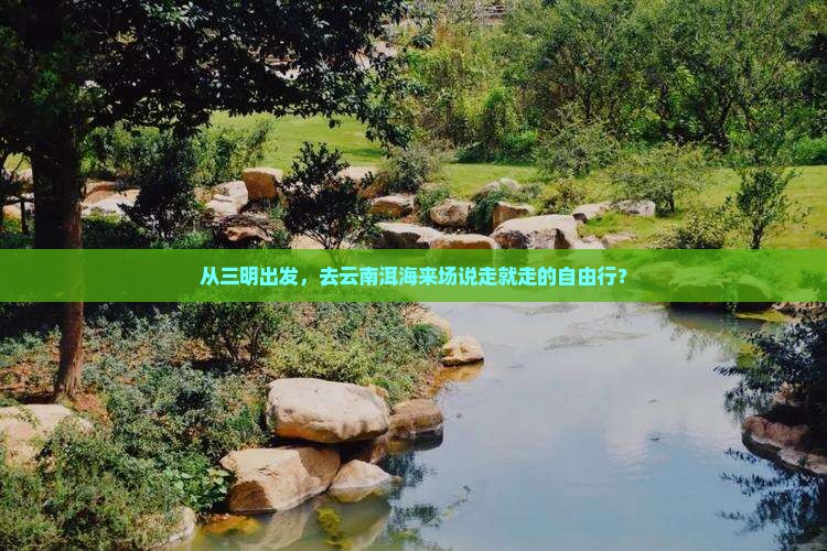 从三明出发，去云南洱海来场说走就走的自由行？