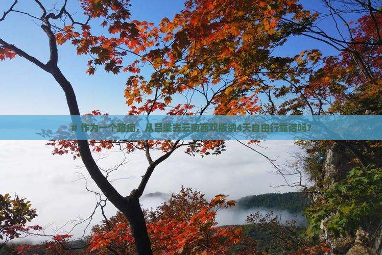 # 作为一个路痴，从吕梁去云南西双版纳4天自由行靠谱吗？