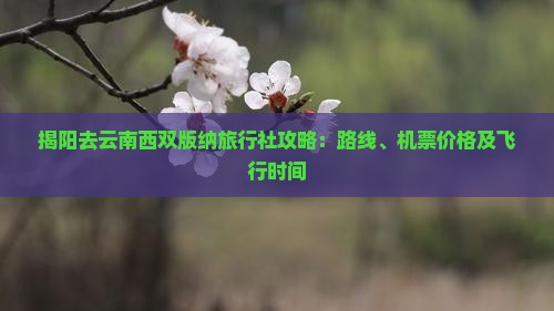 揭阳去云南西双版纳旅行社攻略：路线、机票价格及飞行时间