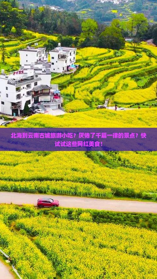 北海到云南古城旅游小吃？厌倦了千篇一律的景点？快试试这些网红美食！