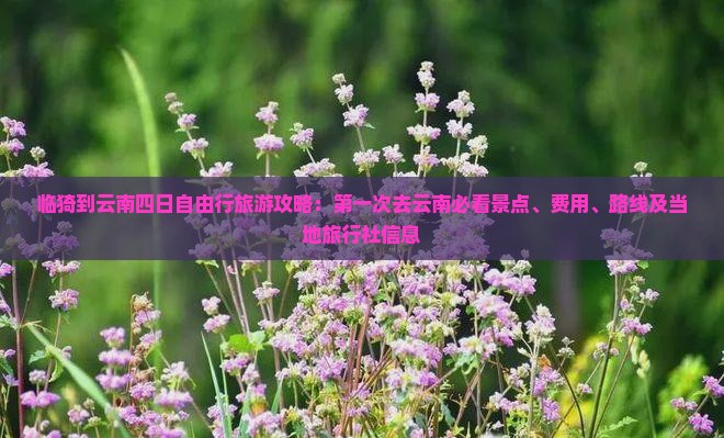 临猗到云南四日自由行旅游攻略：第一次去云南必看景点、费用、路线及当地旅行社信息