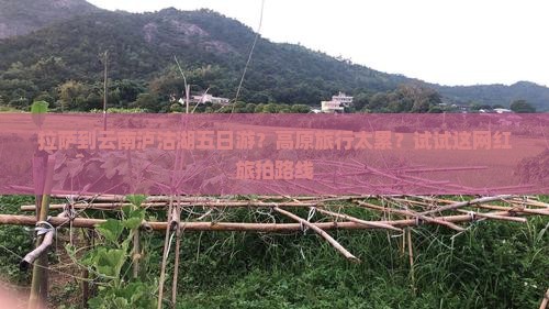 拉萨到云南泸沽湖五日游？高原旅行太累？试试这网红旅拍路线
