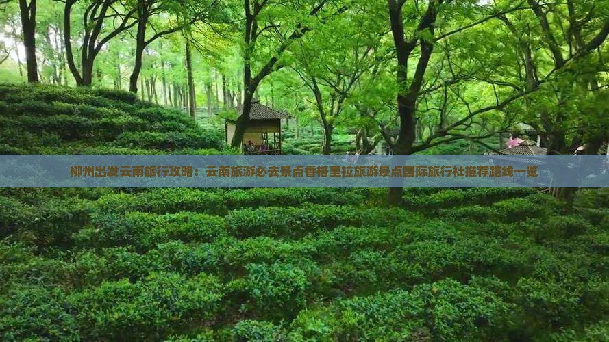 柳州出发云南旅行攻略：云南旅游必去景点香格里拉旅游景点国际旅行社推荐路线一览