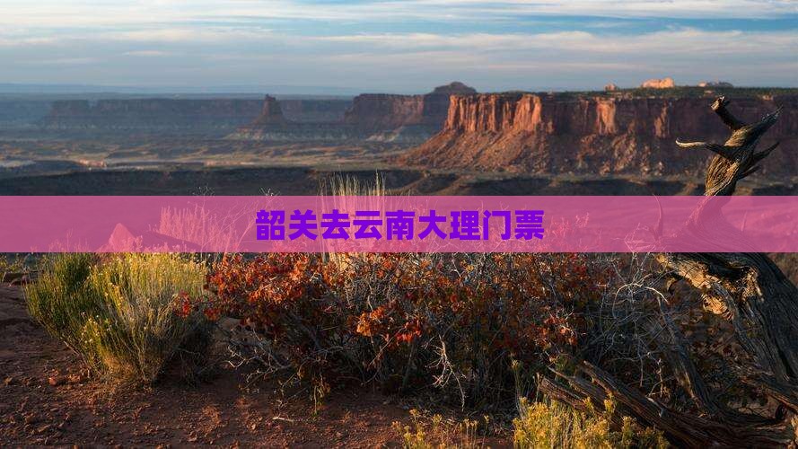 韶关去云南大理门票