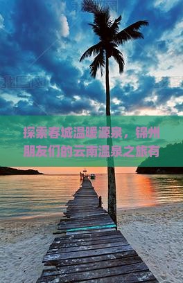 探索春城温暖源泉，锦州朋友们的云南温泉之旅有多惬意？
