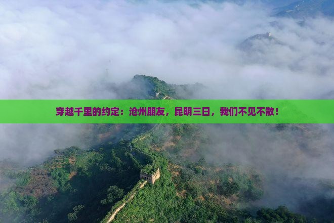 穿越千里的约定：沧州朋友，昆明三日，我们不见不散！