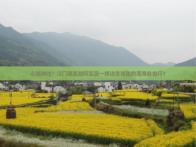 心驰神往！江门朋友如何实现一场说走就走的洱海自由行？