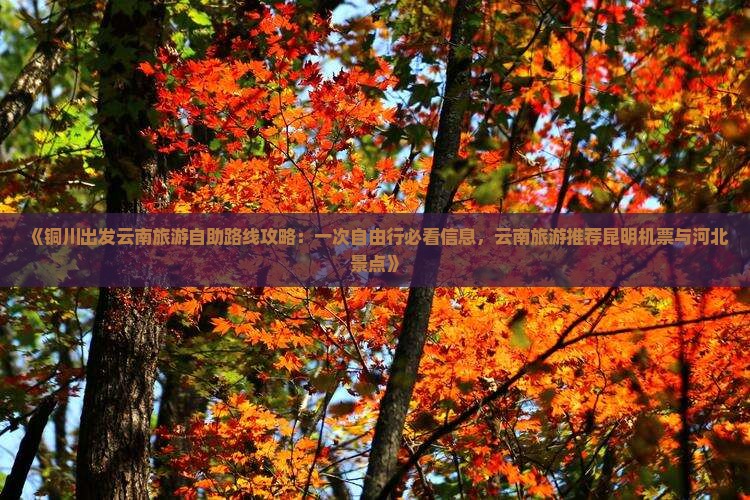 《铜川出发云南旅游自助路线攻略：一次自由行必看信息，云南旅游推荐昆明机票与河北景点》
