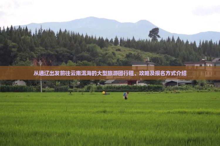 从通辽出发前往云南洱海的大型旅游团行程、攻略及报名方式介绍