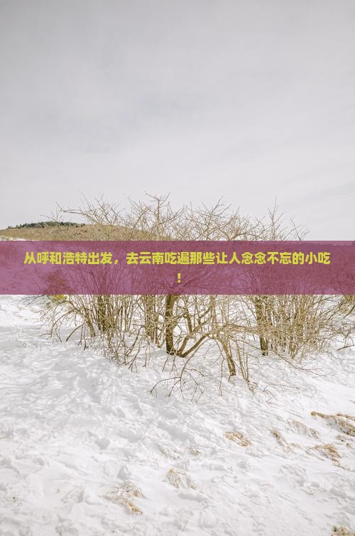 从呼和浩特出发，去云南吃遍那些让人念念不忘的小吃！