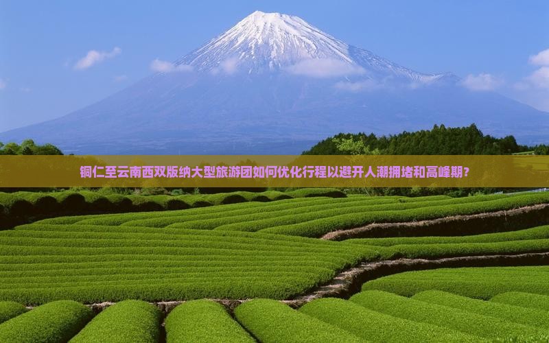 铜仁至云南西双版纳大型旅游团如何优化行程以避开人潮拥堵和高峰期？