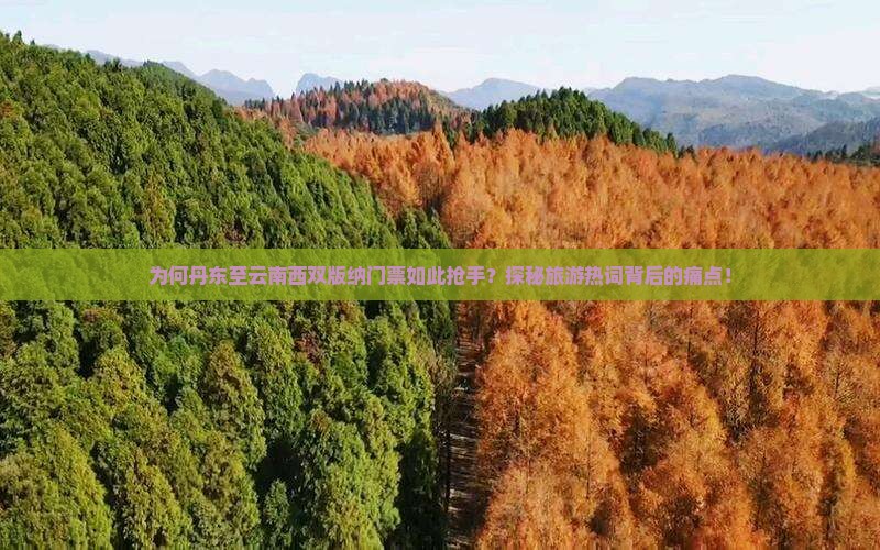 为何丹东至云南西双版纳门票如此抢手？探秘旅游热词背后的痛点！