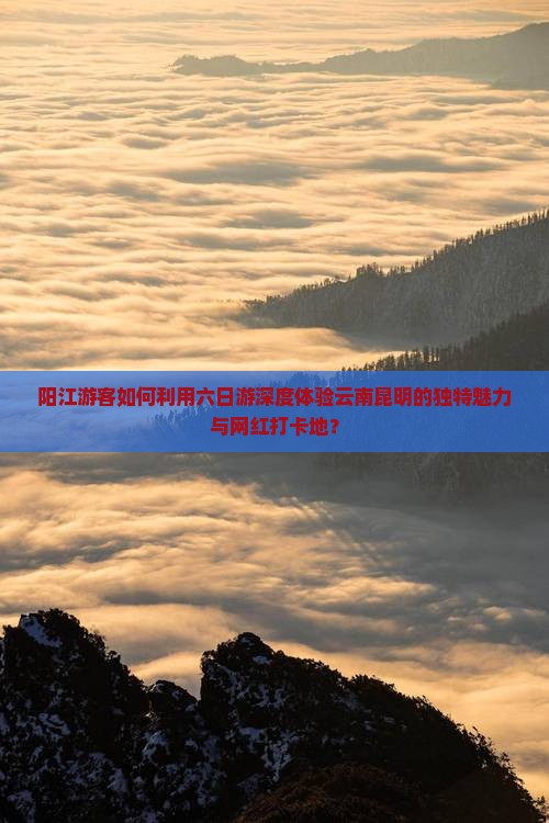 阳江游客如何利用六日游深度体验云南昆明的独特魅力与网红打卡地？