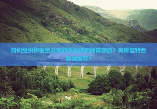 如何组织伊春至云南西双版纳的团体旅游？有哪些特色路线推荐？