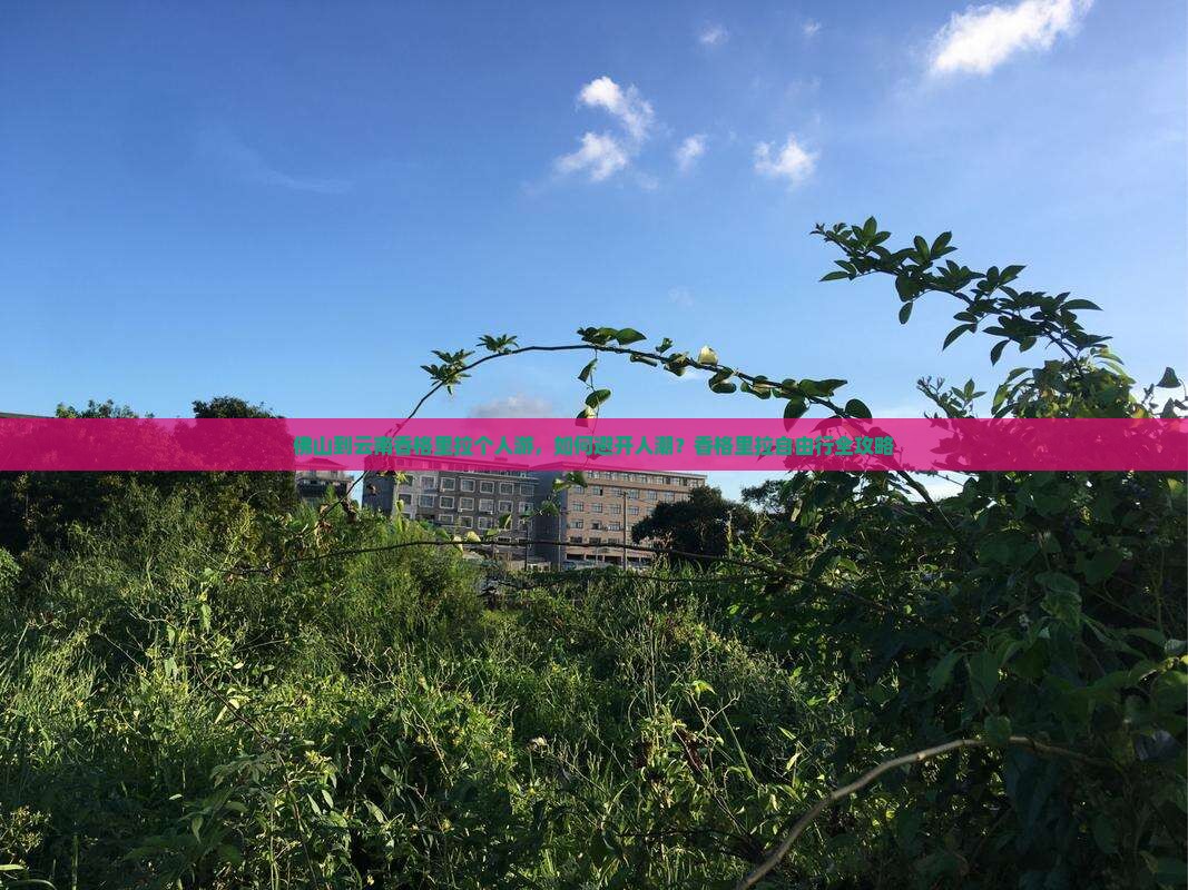 佛山到云南香格里拉个人游，如何避开人潮？香格里拉自由行全攻略