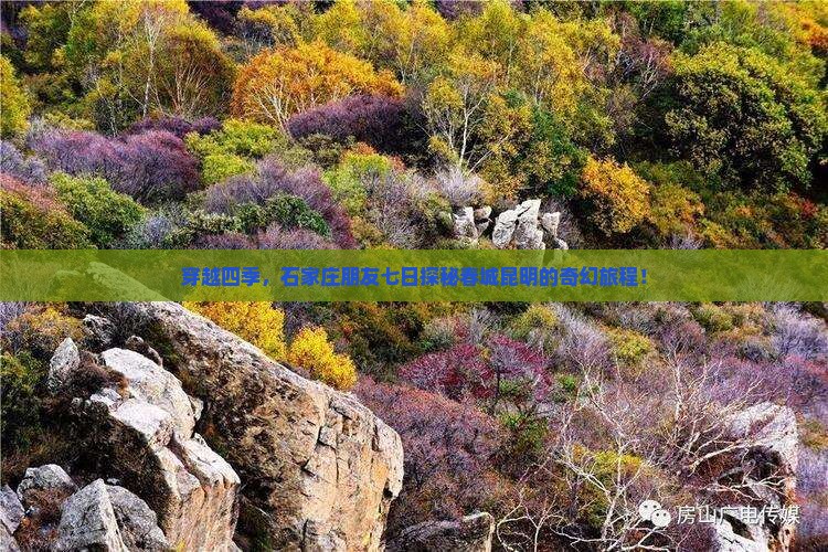 穿越四季，石家庄朋友七日探秘春城昆明的奇幻旅程！