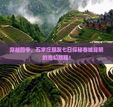 穿越四季，石家庄朋友七日探秘春城昆明的奇幻旅程！