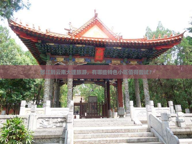 怒江到云南大理旅游，有哪些特色小吃值得尝试？
