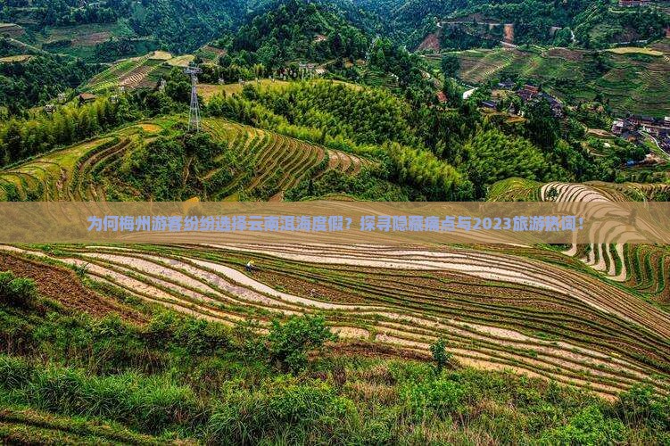 为何梅州游客纷纷选择云南洱海度假？探寻隐藏痛点与2023旅游热词！