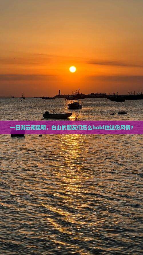 一日游云南昆明，白山的朋友们怎么hold住这份风情？