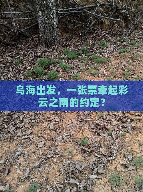 乌海出发，一张票牵起彩云之南的约定？