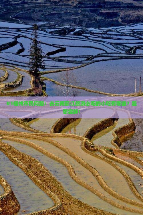 #1梧州市民问路：去云南丽江旅游必吃的小吃有哪些？超想尝鲜！