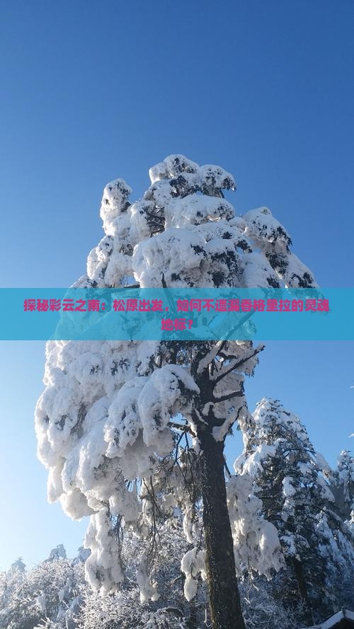 探秘彩云之南：松原出发，如何不遗漏香格里拉的灵魂地标？