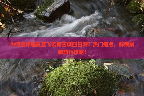 为何选择临夏直飞云南古城四日游？热门痛点，解锁最新旅行攻略！