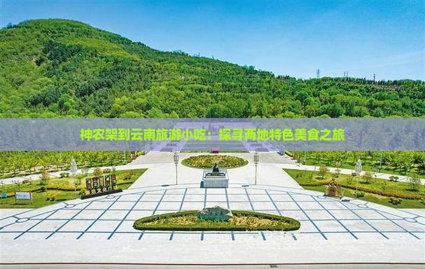 神农架到云南旅游小吃：探寻两地特色美食之旅