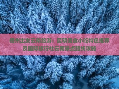 梧州出发云南旅游：昆明美食小吃特色推荐及国际旅行社云南景点路线攻略