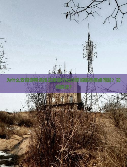 为什么安阳游客选择云南旅行社时面临哪些痛点问题？如何解决？