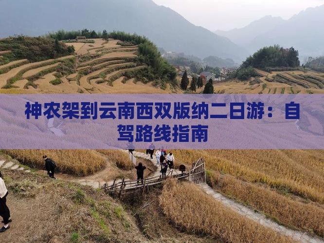 神农架到云南西双版纳二日游：自驾路线指南