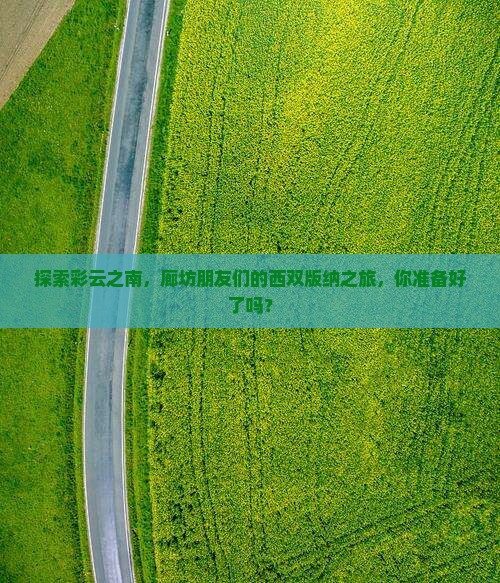 探索彩云之南，廊坊朋友们的西双版纳之旅，你准备好了吗？