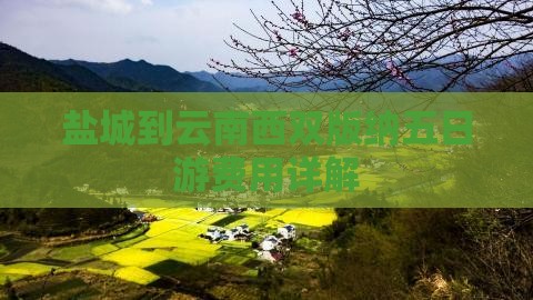 盐城到云南西双版纳五日游费用详解