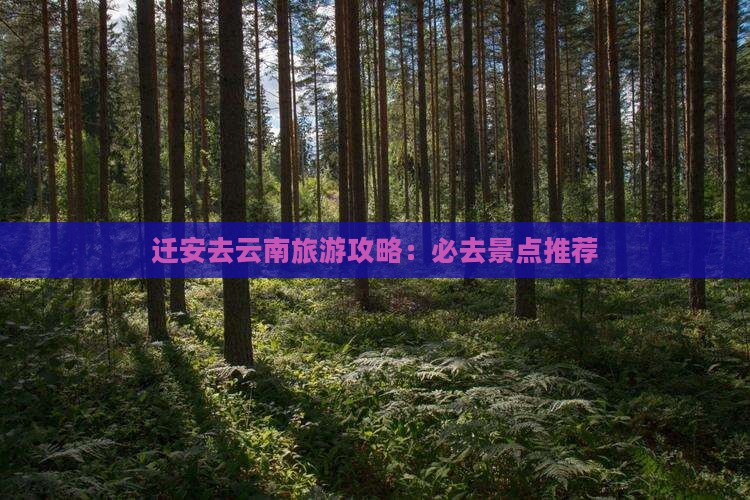 迁安去云南旅游攻略：必去景点推荐
