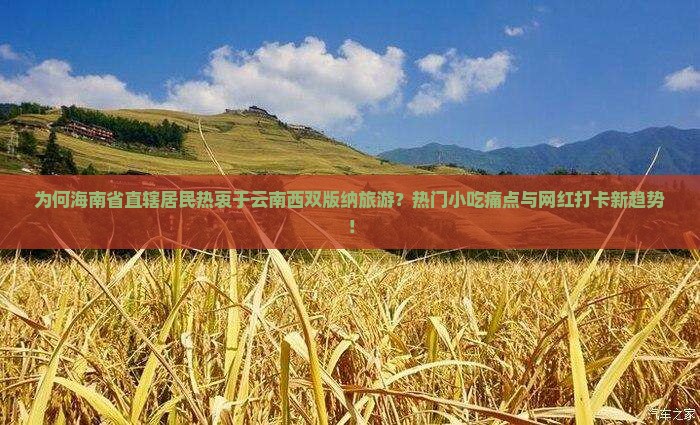 为何海南省直辖居民热衷于云南西双版纳旅游？热门小吃痛点与网红打卡新趋势！