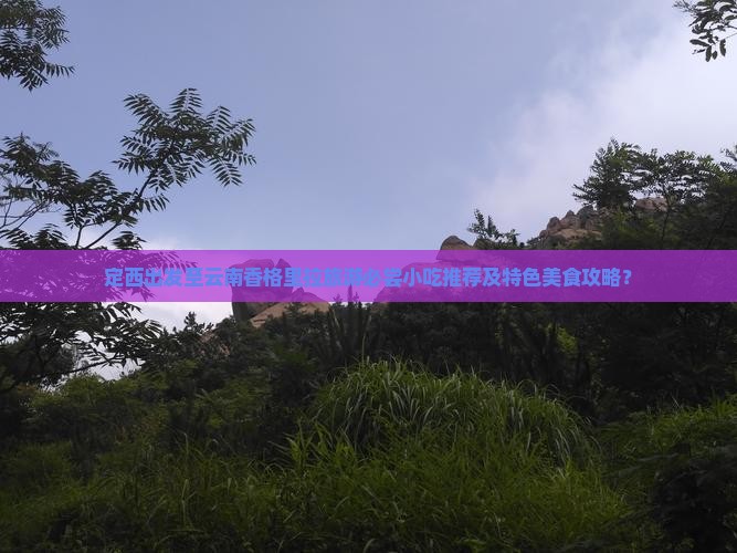 定西出发至云南香格里拉旅游必尝小吃推荐及特色美食攻略？