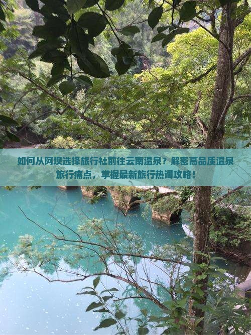 如何从阿坝选择旅行社前往云南温泉？解密高品质温泉旅行痛点，掌握最新旅行热词攻略！