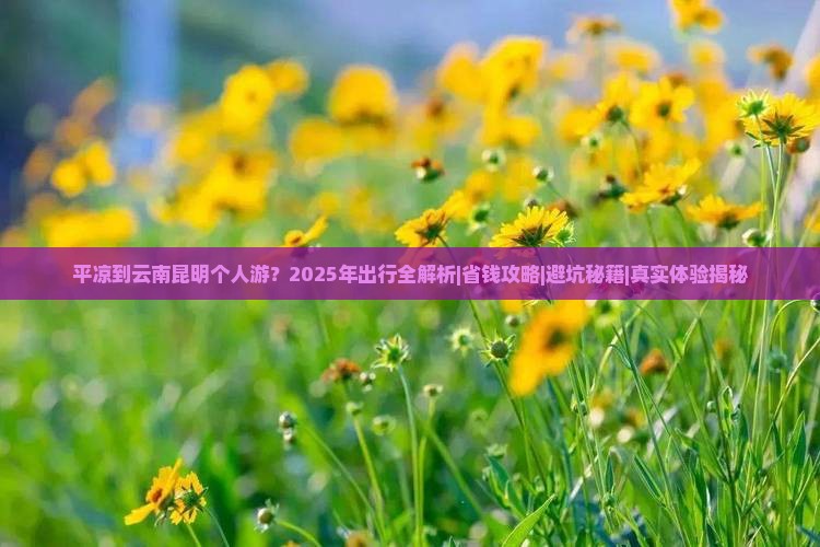 平凉到云南昆明个人游