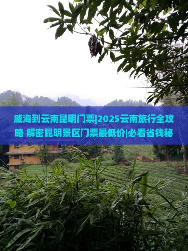 威海到云南昆明门票