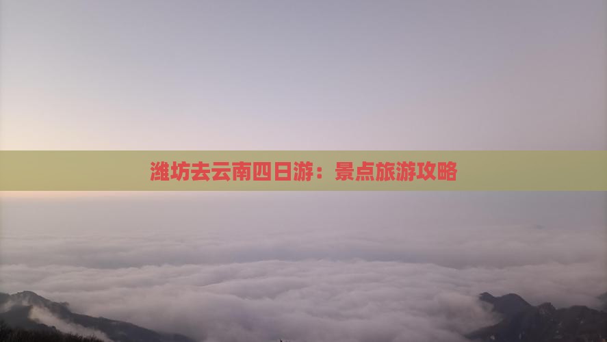 潍坊去云南四日游