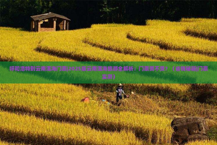 呼和浩特到云南洱海门票