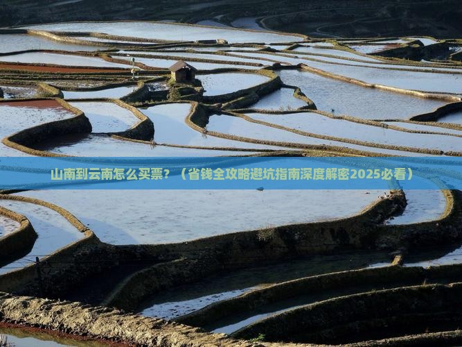 山南去云南门票