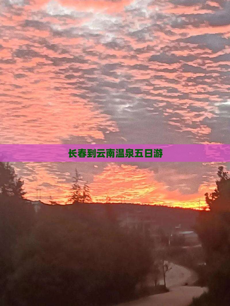 长春到云南温泉五日游